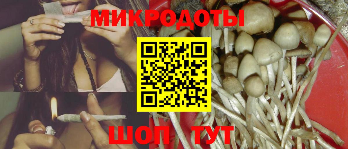 Галлюциногенные грибы GOLDEN TEACHER Сунжа