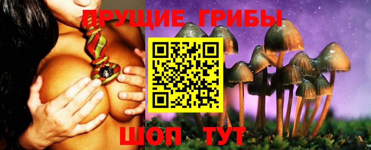 Сунжа  Псилоцибиновые грибы мицелий  Вход с VPN  Галлюциногенные грибы MAGIC MUSHROOMS 